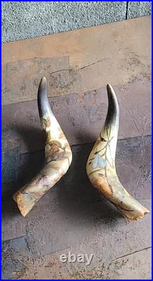 2 Anciennes corne de bovin vache 28 cm Gravé Art Nouveau Libellules, Scarabée
