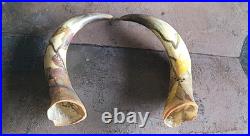 2 Anciennes corne de bovin vache 28 cm Gravé Art Nouveau Libellules, Scarabée