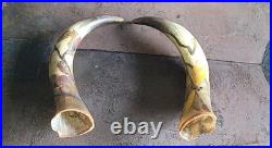 2 Anciennes corne de bovin vache 28 cm Gravé Art Nouveau Libellules, Scarabée