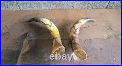 2 Anciennes corne de bovin vache 28 cm Gravé Art Nouveau Libellules, Scarabée