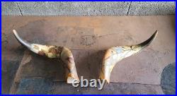 2 Anciennes corne de bovin vache 28 cm Gravé Art Nouveau Libellules, Scarabée