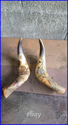 2 Anciennes corne de bovin vache 28 cm Gravé Art Nouveau Libellules, Scarabée