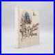 Ancien-Album-De-Cartes-Postales-Art-Nouveau-Allemagne-Californie-1-93Z-01-cke