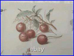 Ancien Plateau De Service Faïence Et Bois Sarreguemines Art Nouveau 1900