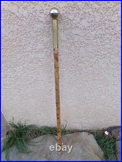 Ancienne canne à système en bambou avec pommeau en laiton-début XX ème