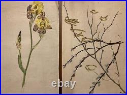 Beau Lot 2 Dessins Ancien 1920 Gouache Fleur Fleurs Plante Art Nouveau Herbier