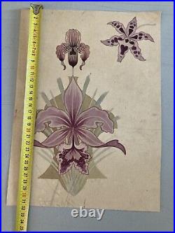 Belle Peinture Ancien 1920 Gouache Fleur Fleurs Plante Art Nouveau Orchidée