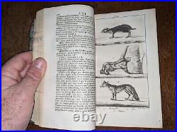 Livre ancien-Nouveau dictionnaire d'histoire naturelle, appliquée aux arts-1803