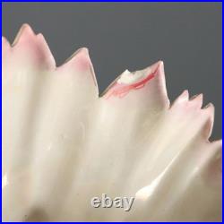 Vase Ancien Art Nouveau Coquille Porcelaine XIXe-XXe Siècle Original